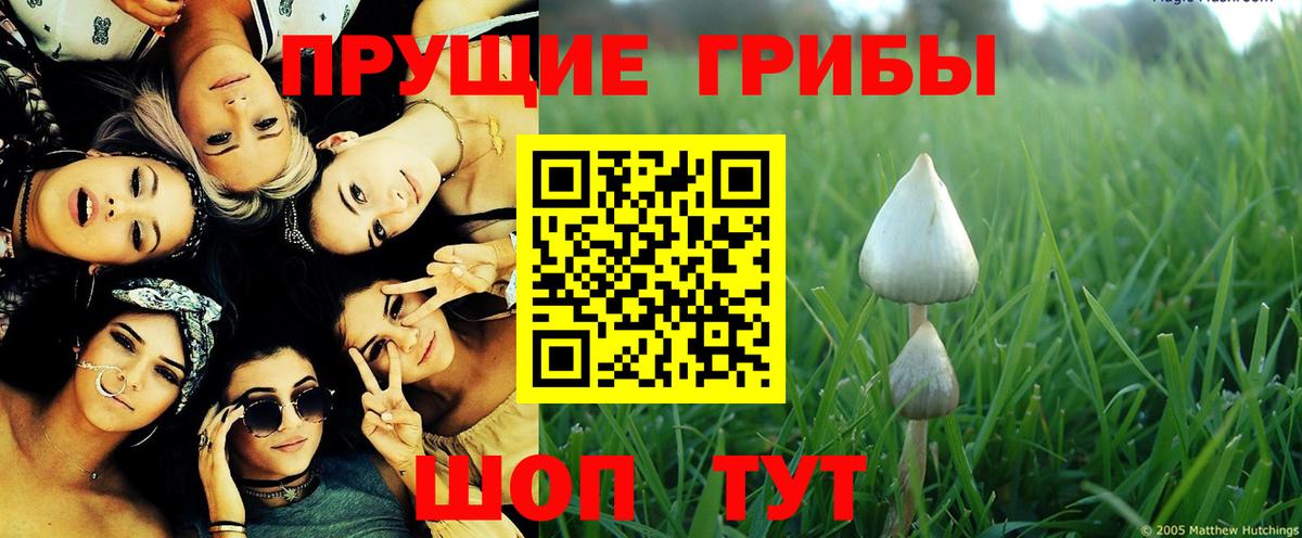 Галлюциногенные грибы мухоморы Верхний Уфалей